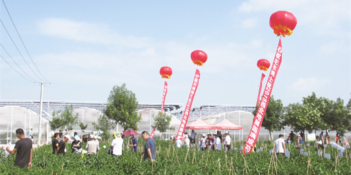 2018年西北（銀川）瓜菜新品種博覽會(huì)