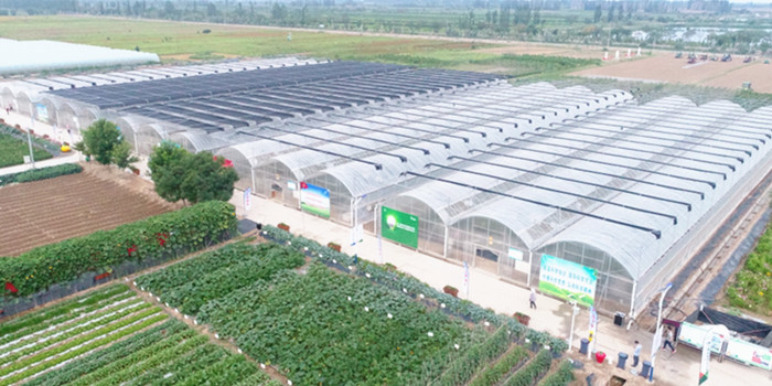 寧夏巨豐種苗品種展示園區(qū)
